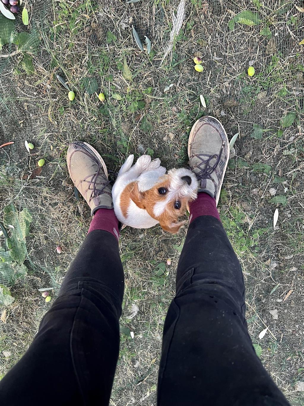zoom